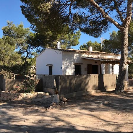 Can Andreu Morna San Francisco Javier Exterior photo